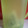 たもえ☆'s cooksnap of when they made 簡単すぎるだし汁♪.