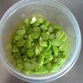 彩音ｍａｍａ's cooksnap of when they made 枝豆 薄皮の剥き方.