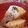 みやこじか's cooksnap of when they made 蓮根と山芋のほっこり煮.