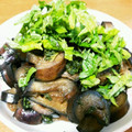 ちえもんたろう's cooksnap of when they made 甘辛ナスのさわやかシソ炒め♪.