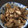 ポメちょん's cooksnap of when they made 簡単*ごぼうとエリンギのポン酢炒め.