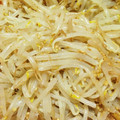 MIYUtam's cooksnap of when they made 簡単ウマウマ〜♡もやしナムル.
