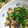 しおかつを's cooksnap of when they made レンジで！なすとツナのしょうが醤油和え.
