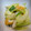 ichigonohana's cooksnap of when they made ちくわとセロリのねぎ塩和え.