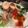 ポムー's cooksnap of when they made あんにゃの七夕ジュレ素麺♡.