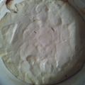 たーまーねーぎー♡'s cooksnap of when they made 焼きヨーグルト(無糖).