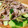 く〜じら♪'s cooksnap of when they made きゅうりと豚肉とみょうがの炒め物.