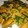 chan_Mio's cooksnap of when they made ゴーヤ＆かぼちゃのオイスター炒め.