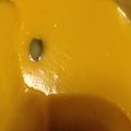 honamimimi's cooksnap of when they made 簡易版！万次郎かぼちゃのとろとろプリン.