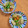 pitachan1's cooksnap of when they made 根菜と鶏ももの炒め煮.
