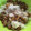 りあしりゅママ's cooksnap of when they made なめこのだいこんおろし和え.
