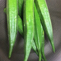 はらぞぅ's cooksnap of when they made オクラのおいしい茹で方 覚え書.