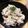 かながゆうへ's cooksnap of when they made 卯の花リメイクで滑らかペパーマヨサラダ.