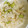 ともも366's cooksnap of when they made ＊簡単炊飯器で枝豆ご飯＊.