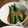 西ヶ原's cooksnap of when they made 【農家のレシピ】オクラの胡麻和え.