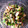 luck→'s cooksnap of when they made 簡単！めんつゆで山形だし…風。.