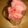 mikiha5's cooksnap of when they made スイカそのまんまブロックアイス.