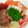 ゆう❁'s cooksnap of when they made 乗せるだけの海鮮丼.