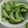 さぁ★たぁ★'s cooksnap of when they made きゅうりのかんたん甘酢漬け.