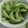 さぁ★たぁ★'s cooksnap of when they made きゅうりのかんたん甘酢漬け.