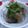 ちいは's cooksnap of when they made 焼きなすをめんつゆでおひたし.