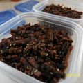 かぜひかる's cooksnap of when they made プレ農家めし◆大量消費ゴーヤとジャコ佃煮.