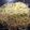 クックDAPWAN☆'s cooksnap of when they made 大葉とツナの和風パスタ.