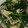 かりもも's cooksnap of when they made 豚肉ほうれん草と卵のさっぱり炒め.