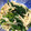 クックIKDMZ5☆'s cooksnap of when they made ほうれん草とえのきと海苔のおひたし.