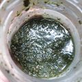 かにゃ～にゃ's cooksnap of when they made 青じそ和風ジェノバペースト.