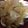 chissaato's cooksnap of when they made 大根とイカの煮物.