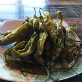 erukoss's cooksnap of when they made シシトウ(ピミエント) のロースト.