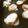 そらてんママ's cooksnap of when they made 羽根つきチーズトースト.