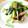 kaokaofood's cooksnap of when they made 舞茸小松菜山椒バター炒め.