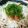 emily1022's cooksnap of when they made 大根おろし　辛い時どうしてます？.