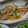 ゆうかりコアラ's cooksnap of when they made 簡単♡ししゃもの南蛮漬け.