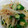 芋の葉's cooksnap of when they made もやしとオクラの梅肉和え.