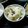 はらだぺこちゃん's cooksnap of when they made 塩昆布キャベツ.