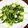 kitchen.aco's cooksnap of when they made 豆苗の炒め物.