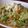 rriioo's cooksnap of when they made あっさり！たっぷりキャベツのパスタ.