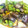 クックM0XP4Y☆'s cooksnap of when they made めんつゆで簡単！ナスの揚げ浸し.