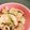 ☆めぇ☆ﾐ's cooksnap of when they made コンビニ弁当を再現！ねぎ塩豚丼.