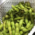 さちゃん０５２２'s cooksnap of when they made 枝豆の茹で方☆.