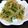 ciomam's cooksnap of when they made 簡単☆もやしと豆苗の和え物.