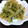ciomam's cooksnap of when they made 簡単☆もやしと豆苗の和え物.