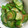 クックRYTDC4☆'s cooksnap of when they made さっぱりきゅうりとオクラのおかか和え.