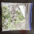 ayachan66's cooksnap of when they made 簡単　ほうれん草の冷凍保存.