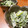 ぽんずー's cooksnap of when they made 小松菜のごまマヨ和え.