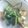 ☆しいたんママ☆'s cooksnap of when they made 野菜炒め(中華だし).