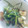 ☆しいたんママ☆'s cooksnap of when they made 野菜炒め(中華だし).